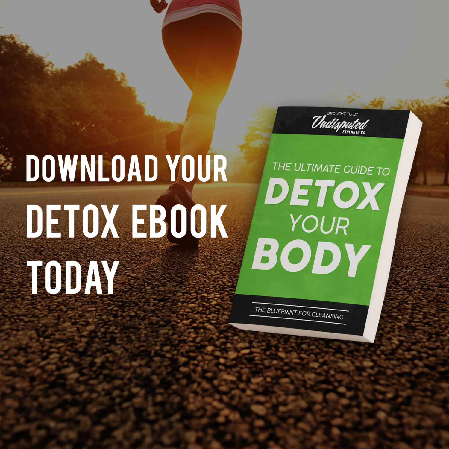 DetoxWeb_Header4-1500x1500.jpg